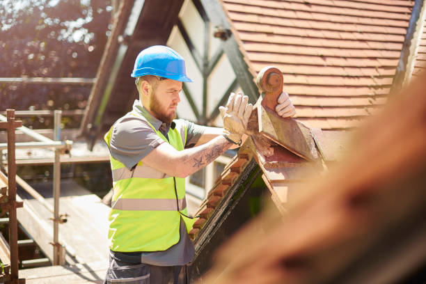 Professional Roofing Contractor in Lapel, IN